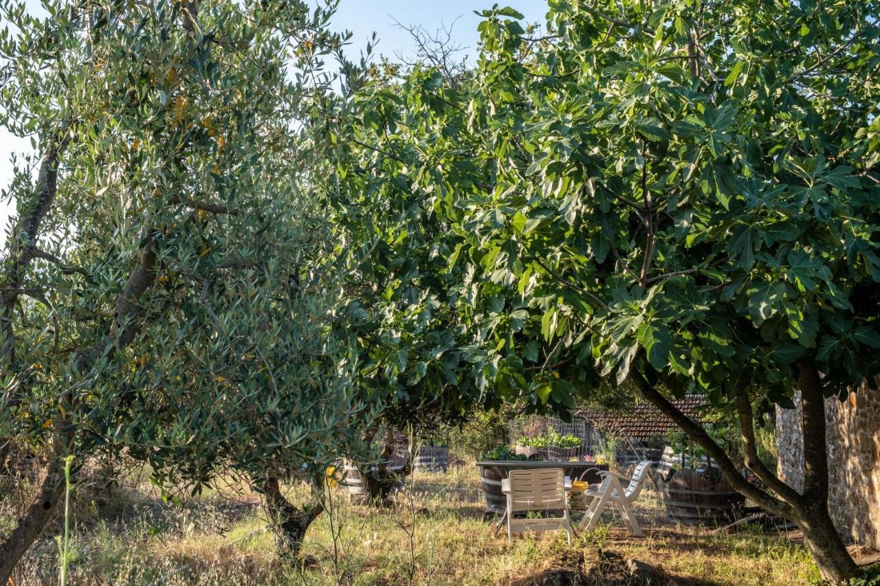 Podere Pruneto Radda in Chianti Eksteriør billede