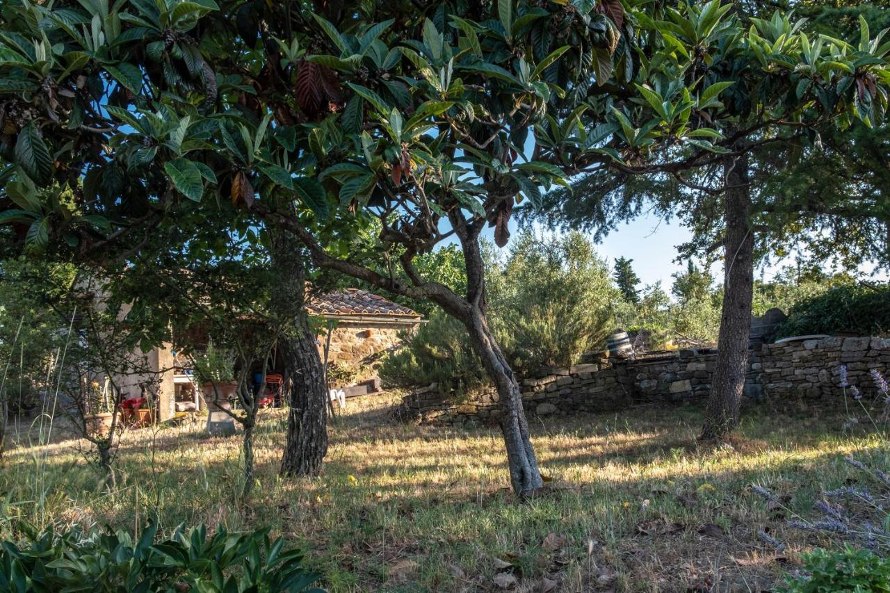 Podere Pruneto Radda in Chianti Eksteriør billede